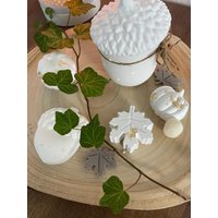 Zauberhafte Eichellichterdose Mit Kleiner Lichterkette, Herbstdeko, Home, Resin, Mitbringsel, Deko, Keraflott, Geschenk, Halloween, Dekoidee Zauberhafte Eichellichterdose Mit Kleiner Lichterkette, Herbstdeko, Home, Resin, Mitbringsel, Deko, Keraflott, Geschenk, Halloween, Dekoidee von fixednature