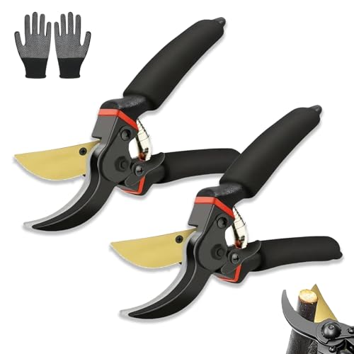 Festberg Gardencutter Pro, Ergonomisch Hochleistungs-Gartenschere, Profi Gartenschere mit Präzisionsklinge & Anti-Rost-Beschichtung Für Präzisen Schnitt Von Ästen, Zweige (2) von fjaldjfu