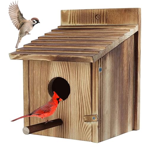 Vogelhäuser für außen, hölzerne Bluebird -Häuser für Außen von fkngcp