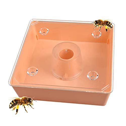 fkngcp Bienenfutterautomat 2L Biene Hive -Eingangseingangs -Feeder -Bienenzucht -Werkzeug Square Hive Top Water für EquipmentBee von fkngcp