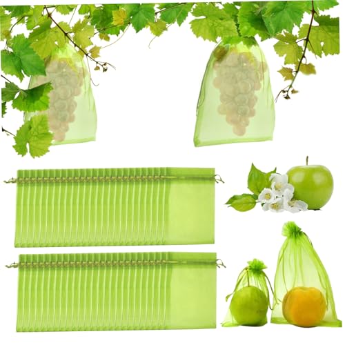 fkngcp Obstschutzbeutel, 50pcs 12 x 8 Zoll wanzfeste Obstbeutel, atmungsaktives Abdeckungsnetz mit Kordelkordel, grün für Obst und Gemüsefrüchteschutz fkngcp Obstschutzbeutel, 50pcs 12 x 8 Zoll wanzfeste Obstbeutel, atmungsaktives Abdeckungsnetz mit Kordelkordel, grün für Obst und Gemüsefrüchteschutz von fkngcp