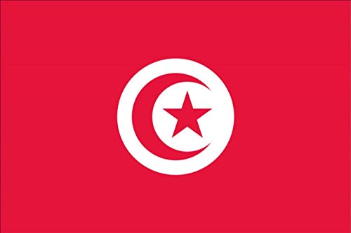 flaggenmeer® Flagge Tunesien 110 g/m² ca. 20 x 30 cm von flaggenmeer