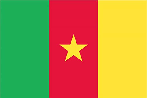 flaggenmeer® Tischflagge Kamerun ca. 15 x 25 cm von flaggenmeer