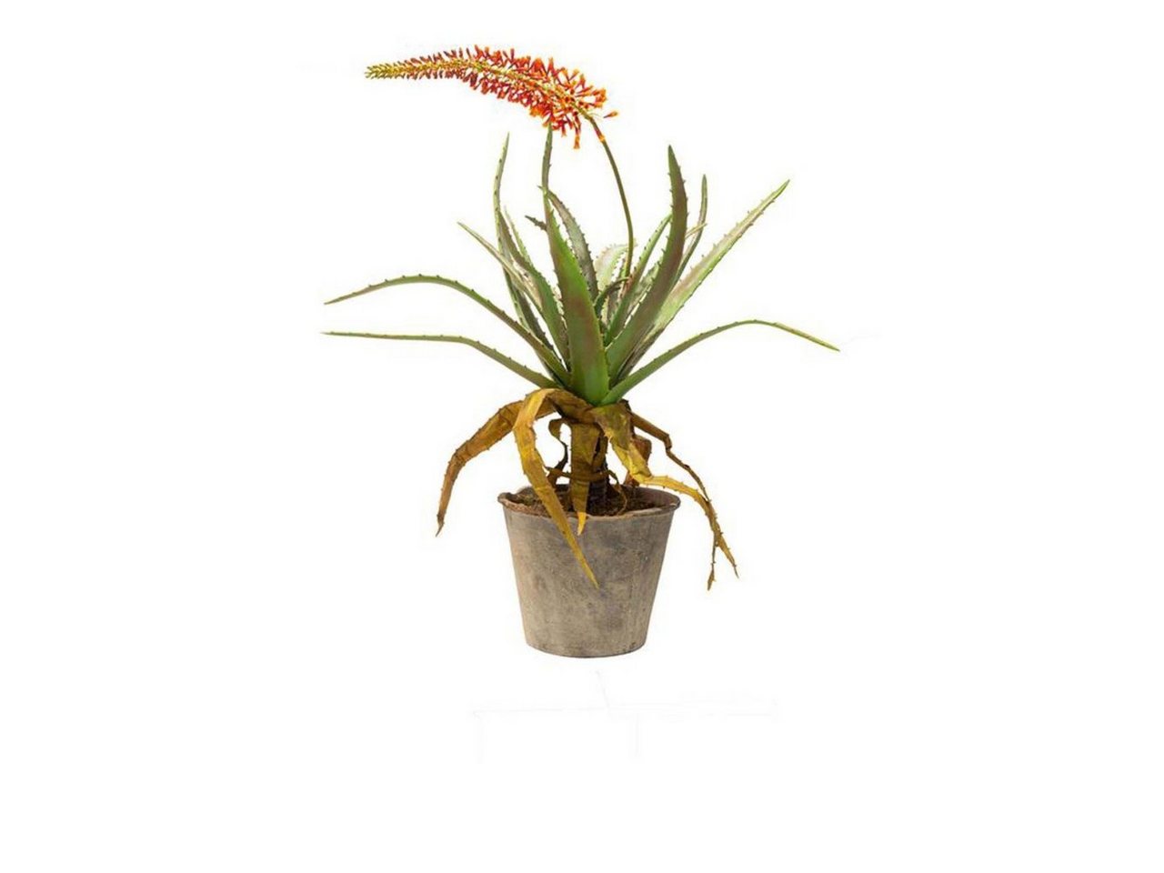 Kunstblume Kunstpflanze Aloe, fleur ami von fleur ami