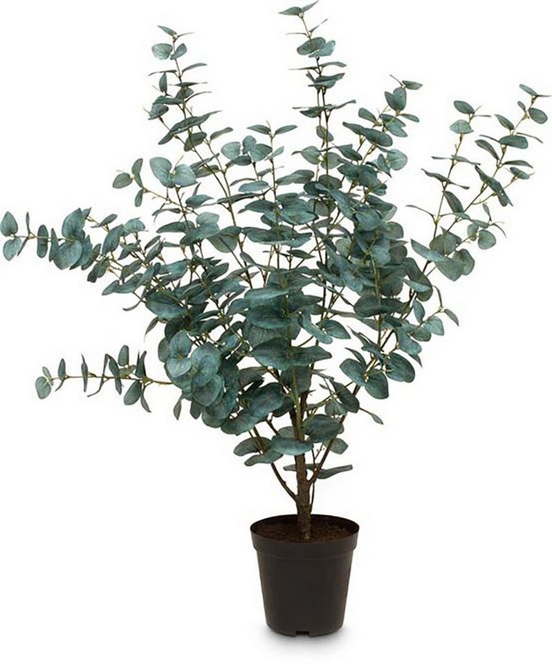 Kunstblume Kunstpflanze Eucalyptus, fleur ami von fleur ami