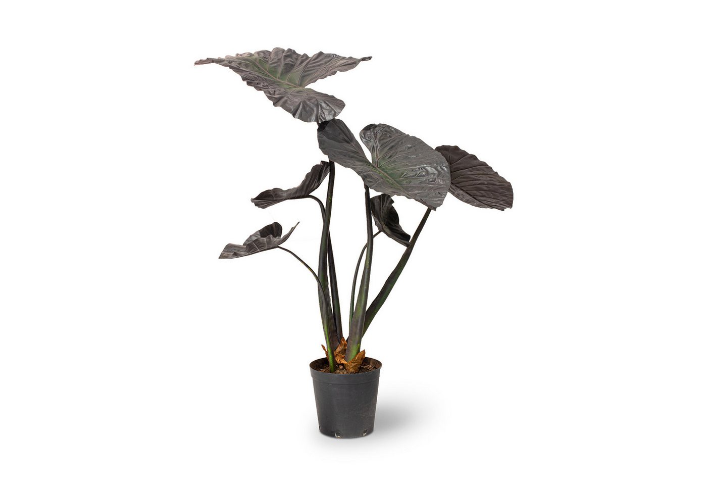 Kunstpflanze Alocasia - Elefantenohr Kunstpflanze, 121 cm, fleur ami, Höhe 121 cm von fleur ami