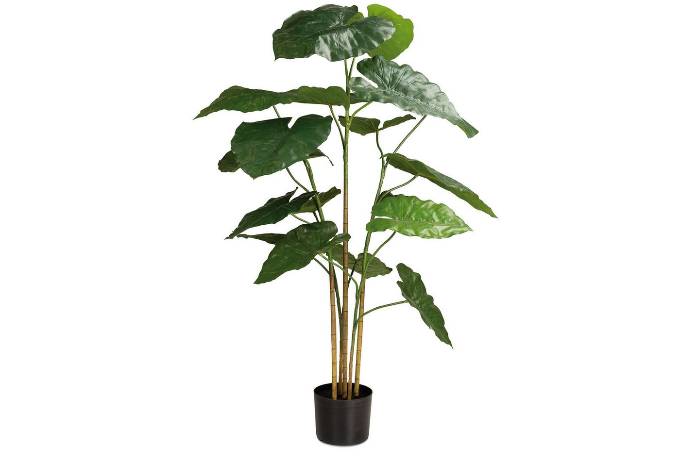 Kunstpflanze Alocasia - Elefantenohr UV Stabil, Kunstpflanze 137 cm, fleur ami, Höhe 137 cm von fleur ami