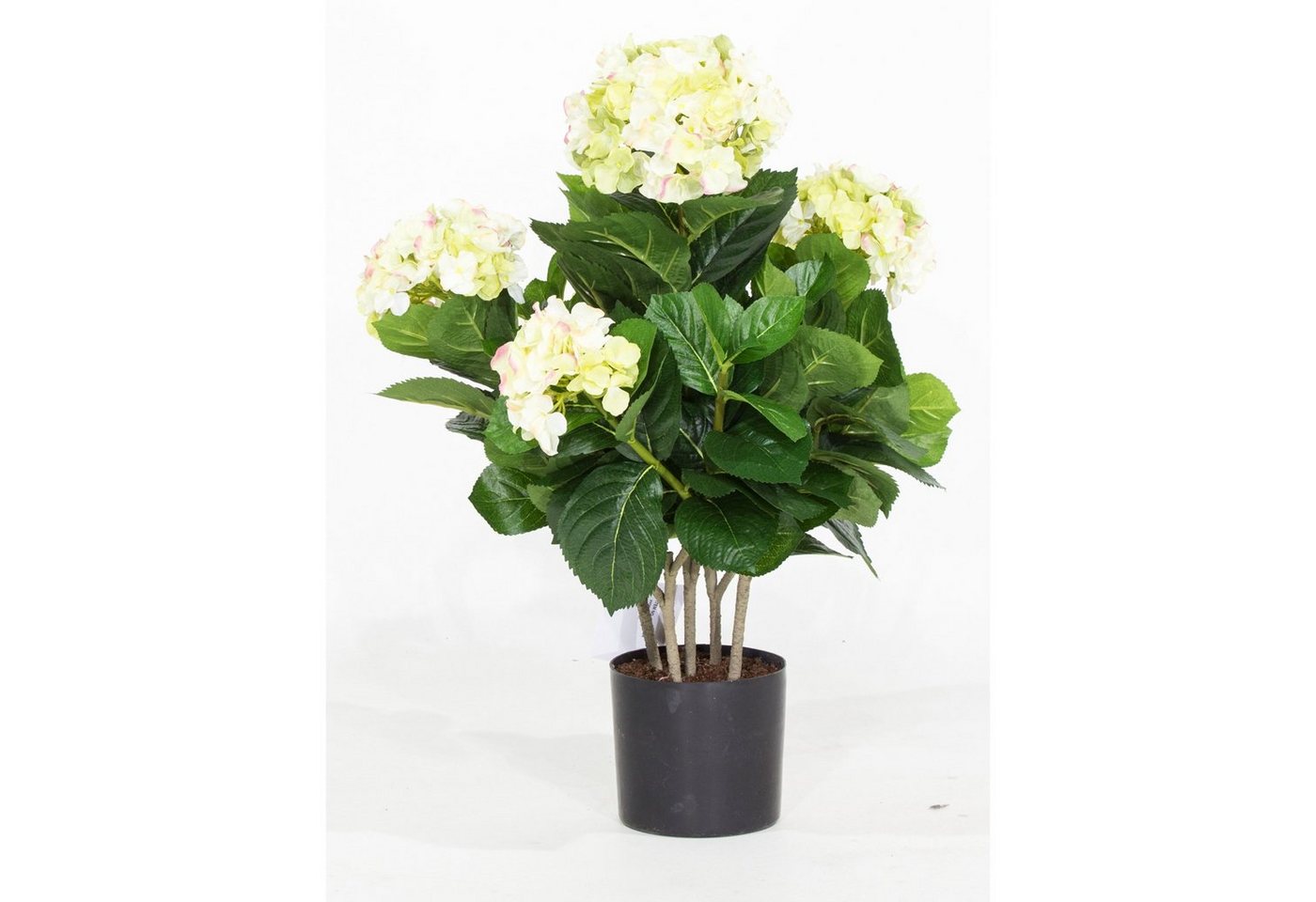 Kunstpflanze Hortensie - Hydrangea Kunstpflanze, 53 cm, creme, fleur ami, Höhe 55 cm von fleur ami