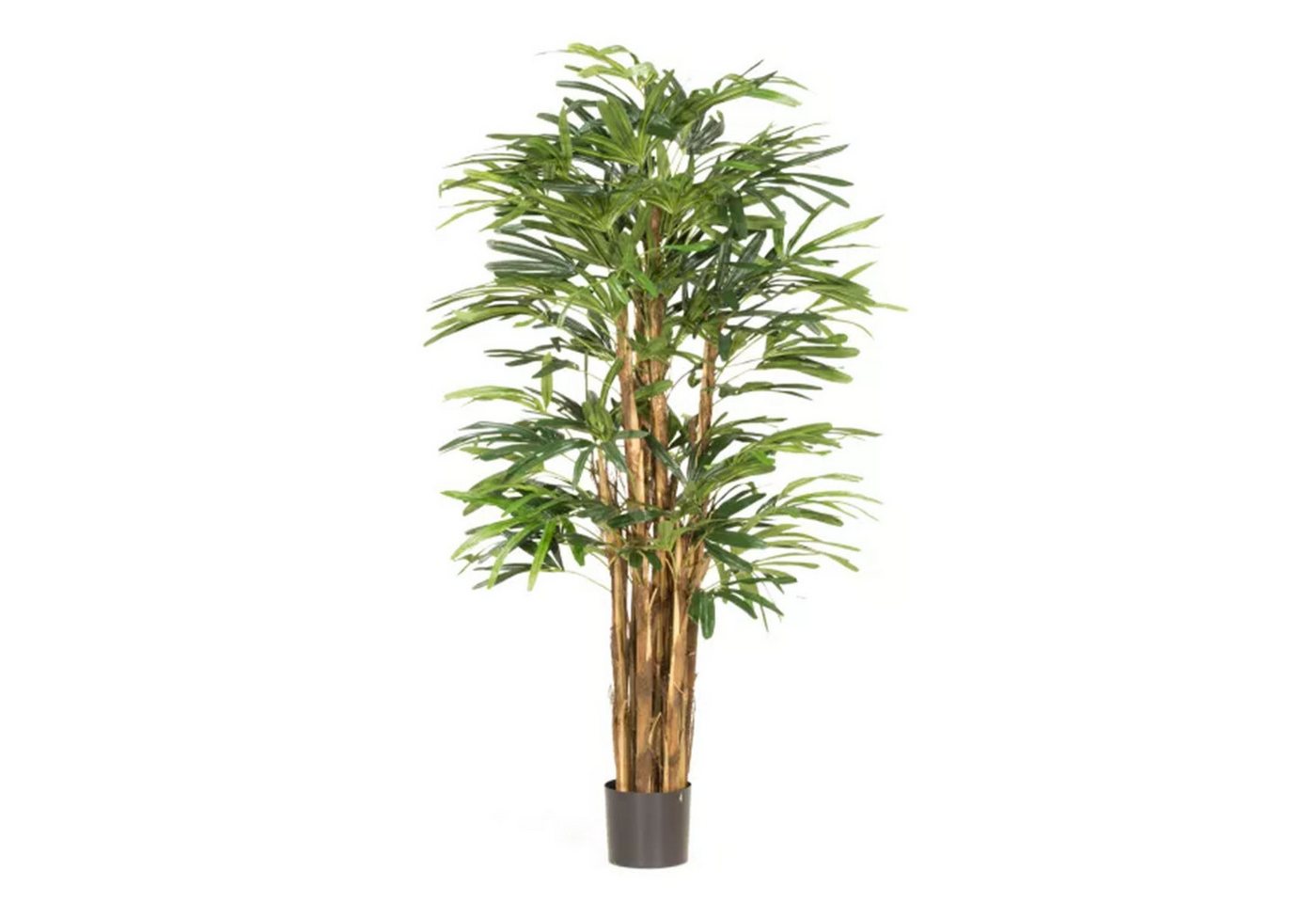 Kunstpflanze Raphis - Steckenpalme Kunstpflanze, 150 cm, fleur ami, Höhe 150 cm von fleur ami