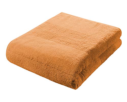 fleuresse Frottier 2828 großes Badetuch, mit Streifenbordüre und Kordelaufhänger, Ökotex Standard 100, Gewicht 550 gr. pro m², 90 x 200 cm, hummerrot von fleuresse