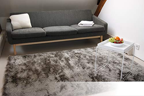 floor factory Exklusiver Hochflor Shaggy Teppich Satin Silber/grau 120x170 cm - edler, seidig glänzender Teppich von floor factory