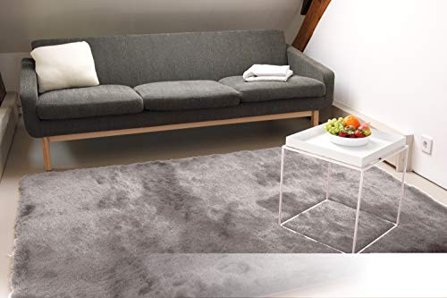 floor factory Exklusiver Hochflor Shaggy Teppich Satin Silber 80x150 cm - edler, seidig glänzender Teppich von floor factory