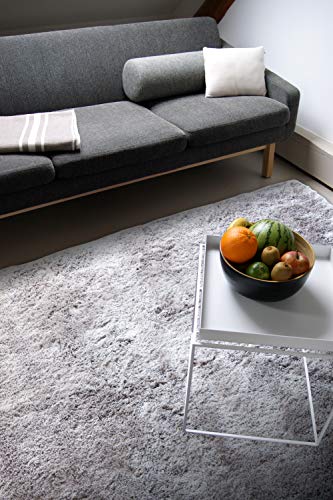 floor factory Moderner Teppich Delight Silber grau 120x170cm - edler Designer Teppich mit flauschig weichem Flor von floor factory