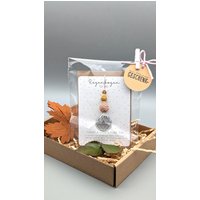 Sonnenfänger Fenster | Suncatcher Lichtfänger Kleine Geschenke Für Frauen Geschenk Kollegin Mitbringsel Sonnenfänger Fenster | Suncatcher Lichtfänger Kleine Geschenke Für Frauen Geschenk Kollegin Mitbringsel von flottelotteshop