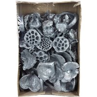 Flowerbox Exoten - grau Flowerbox Exoten - grau von Flowerbox