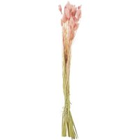 Flowerbox Trockenblumen »Phalaris« - rosa von Flowerbox