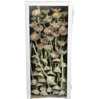 Flowerbox Trockenblumen - blau | gruen von Flowerbox