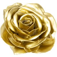 Flowerbox Wachsrose 12er-Set - goldfarben von Flowerbox