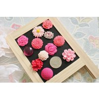 Pinke Blumen Magnete - Koralle Strass Kühlschrank Magnete, 12 Stück Set von fluteofthehour