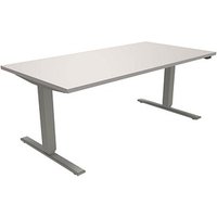 fm fastline elektrisch höhenverstellbarer Schreibtisch lichtgrau rechteckig, T-Fuß-Gestell silber 160,0 x 80,0 cm von fm