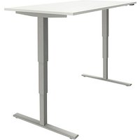 fm fastline elektrisch höhenverstellbarer Schreibtisch weiß rechteckig, T-Fuß-Gestell silber 160,0 x 80,0 cm von fm