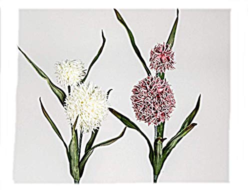 Formano Dekorativer Kugelzweig mit Blättern ca 104cm 1 Stück, Farbe sortiert 1x weiss oder 1x rosa von formano