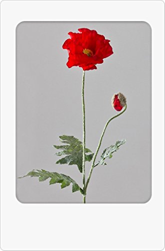 Formano Kunstblume Mohn rot 68 cm mit großer Blüte, Knospe und geflockten Blättern von formano
