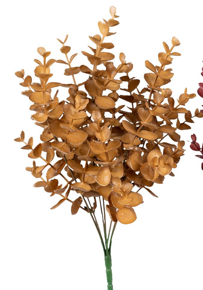 Kunstblume, formano, Höhe 34 cm, Farbe: Orange, Motiv: Eucalyptus von formano