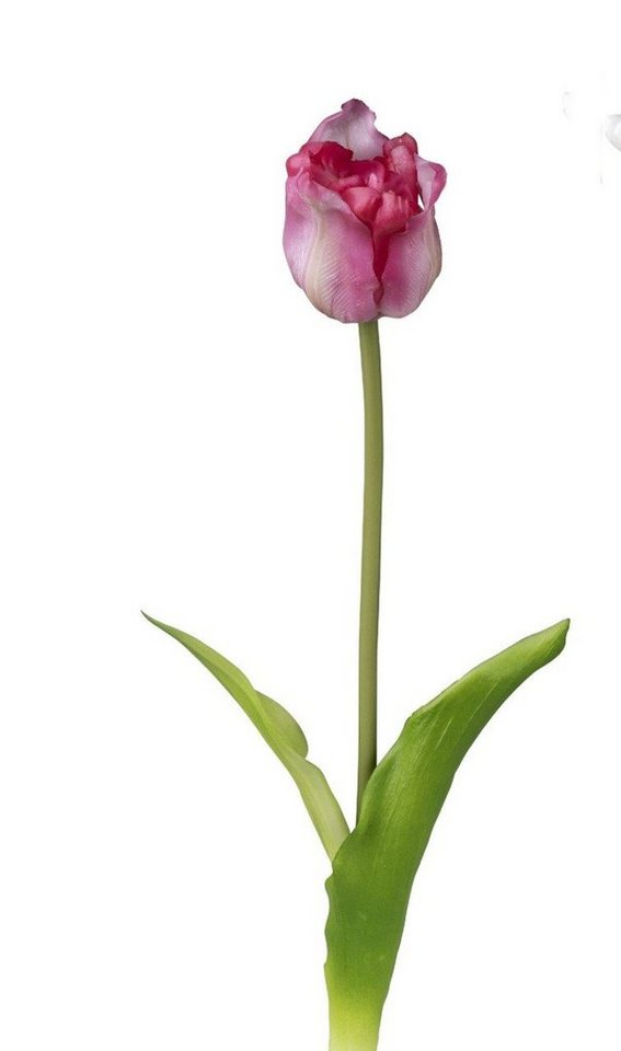 Kunstblume Frühling, formano, Höhe 44 cm, Pink B:9cm H:44cm D:5cm Kunststoff von formano