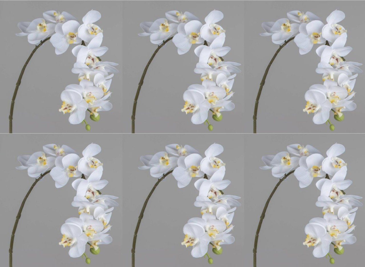 Kunstblume, formano, Höhe 56 cm, Weiß H:56cm Kunststoff von formano