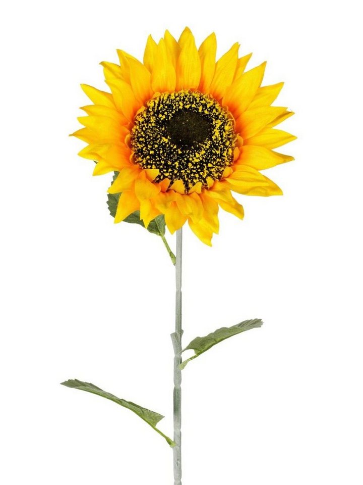 Kunstblume, formano, Höhe 73 cm, Gelb H:73cm D:15cm Kunststoff von formano