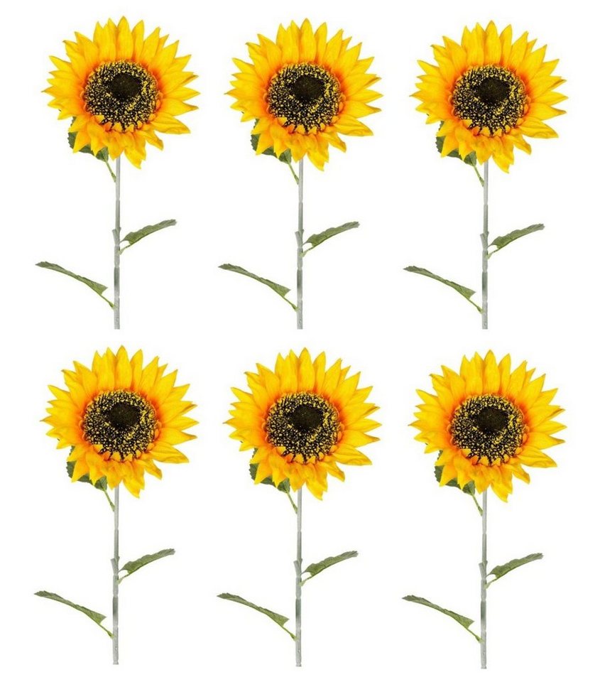 Kunstblume, formano, Höhe 73 cm, Gelb H:73cm D:15cm Kunststoff von formano
