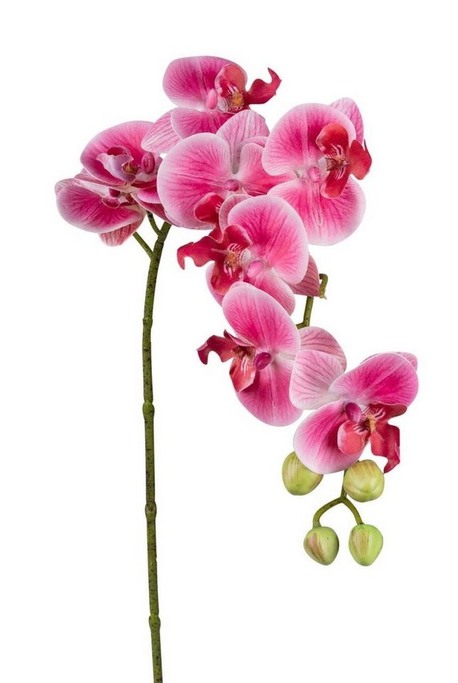 Kunstblume, formano, Höhe 80 cm, Pink H:80cm Kunststoff von formano