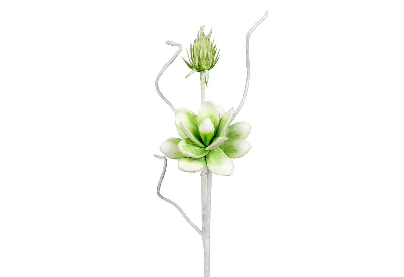 Kunstblume Blütenzweig weiß-grün, formano, Höhe 54 cm von formano