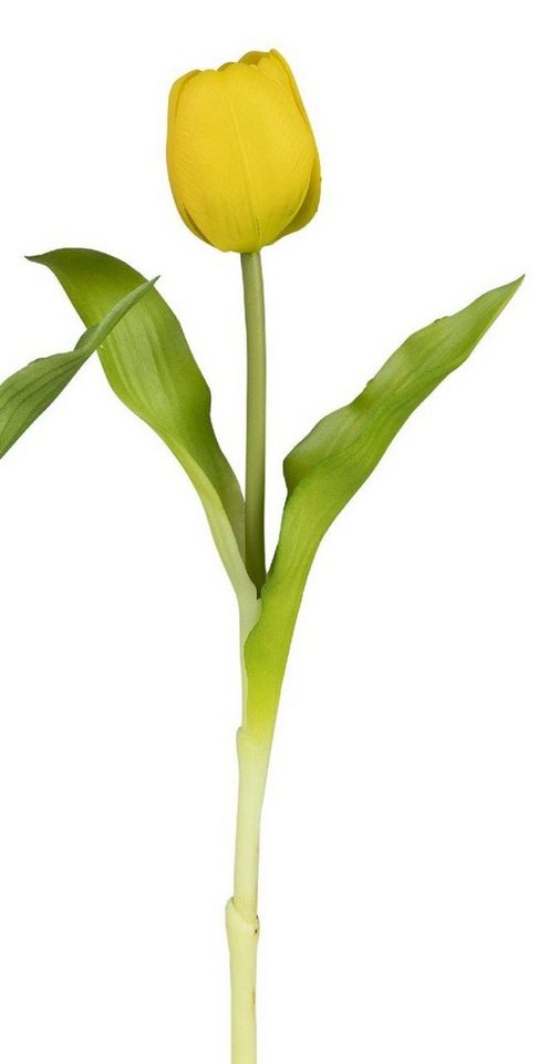 Kunstblume Frühling, formano, Höhe 30 cm, Gelb B:10cm H:30cm D:4cm Kunststoff von formano