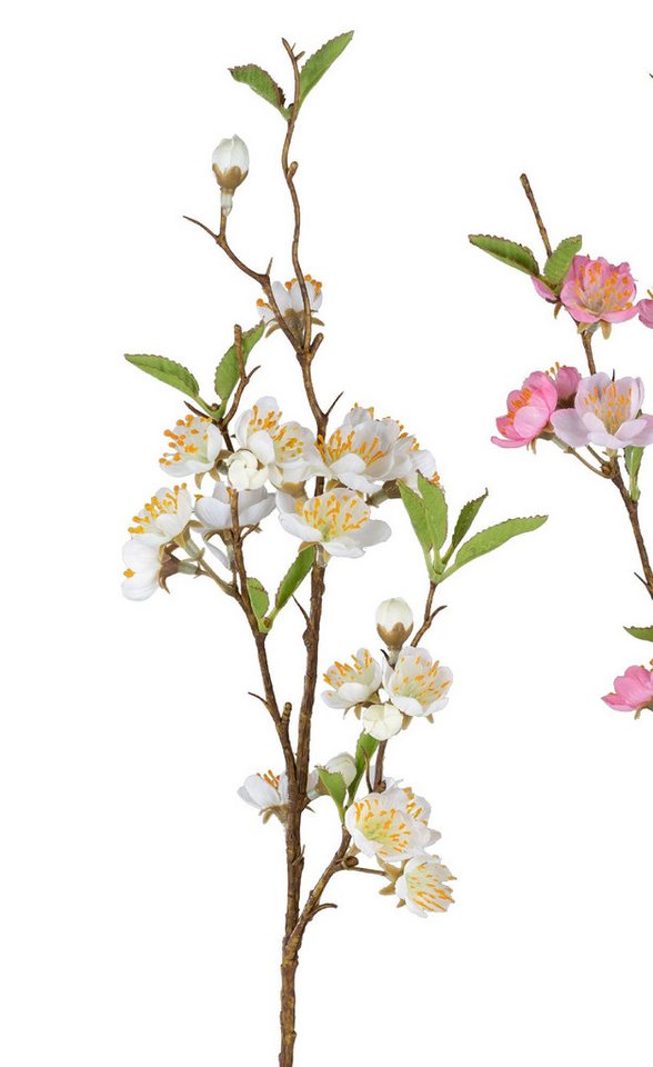 Kunstblume Frühlingszeit, formano, Höhe 50 cm, Farbe: Weiß, Motiv: Kirschblüte von formano
