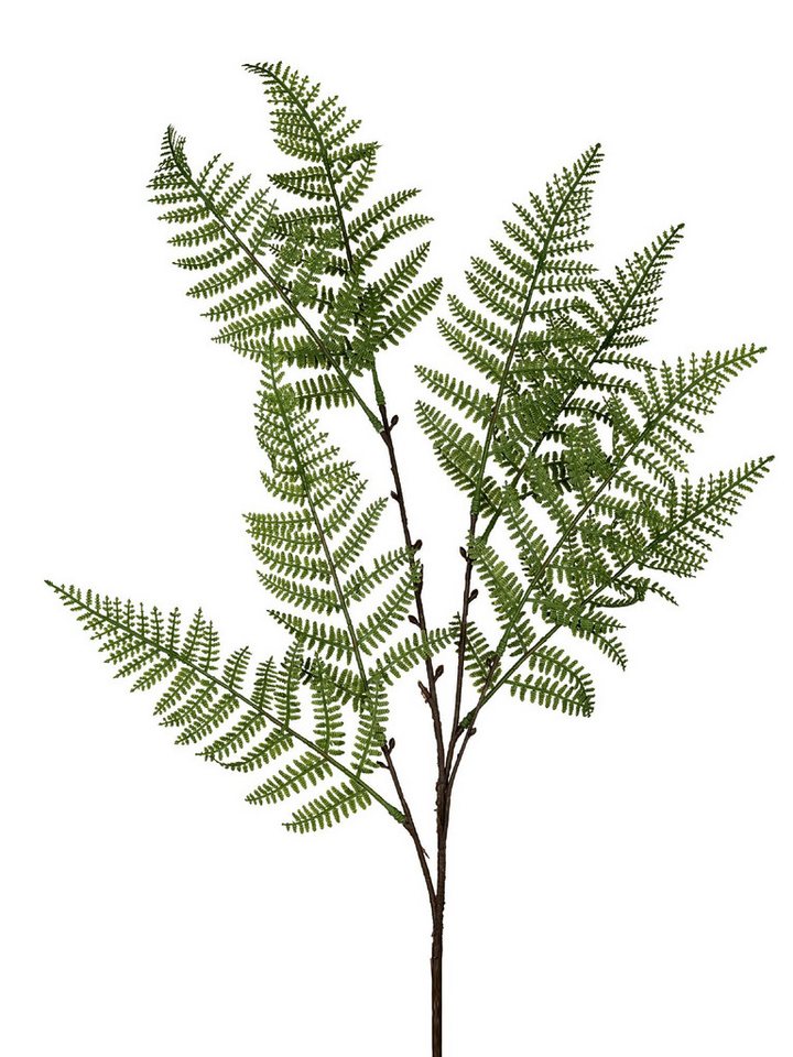 Kunstblume Frühlingszeit, formano, Höhe 76 cm, Farbe: Grün, Motiv: Farn Kunstblume Frühlingszeit, formano, Höhe 76 cm, Farbe: Grün, Motiv: Farn von formano
