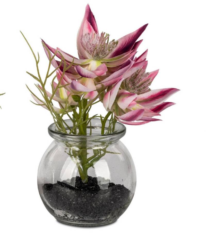 formano Dekovase Frühlingszeit, Farbe: Pink, Motiv: Distel von formano