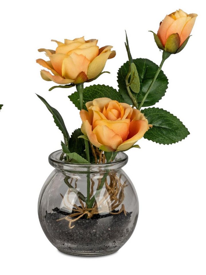 formano Dekovase Frühlingszeit, Farbe: Orange, Motiv: Rosen formano Dekovase Frühlingszeit, Farbe: Orange, Motiv: Rosen von formano