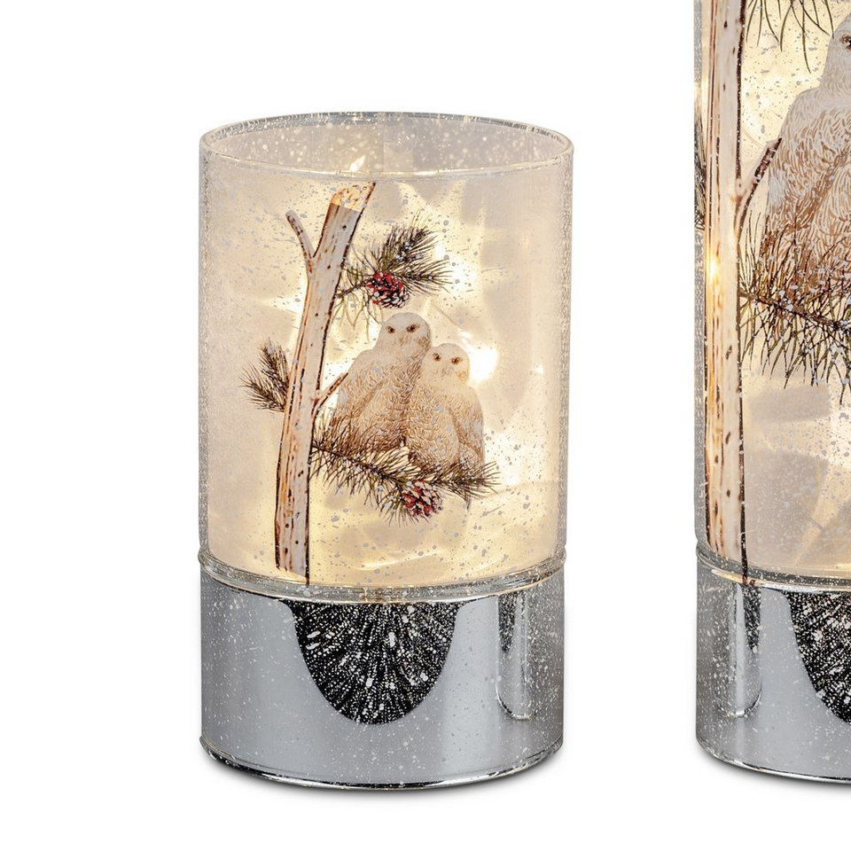 formano LED Tischleuchte Winterzeit, mit Timerfunktion, Mehrfarbig, Motiv: Eulen formano LED Tischleuchte Winterzeit, mit Timerfunktion, Mehrfarbig, Motiv: Eulen von formano