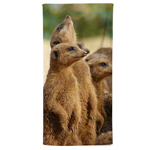 fotobar!style Handtuch 50 x 100 cm EIN Motiv aus dem Kalender Die Welt der Erdmännchen. fotobar!style Handtuch 50 x 100 cm EIN Motiv aus dem Kalender Die Welt der Erdmännchen. von fotobar!style
