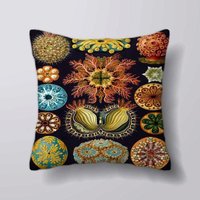 Vintage Blumenmuster Ernst Haeckel Illustration - Kann Anpassbar Personlized Kissen Abdeckung Fall Oder Gefüllt Mit Einsatz von foxyNfoxy