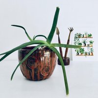 Blumenübertopf Vintage Blumentopf Pflanztopf Rockabilly Mid-Century 50-60Er Jahre Orange Braun Gemarkt R von fraeuleinalpenrose