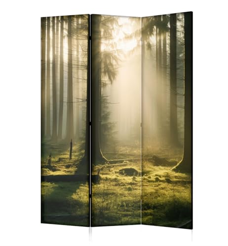 framed concept - Paravent Raumteiler Holz 135x172 cm, 3-teilig einseitig, Sichtschutzwand von framed concept