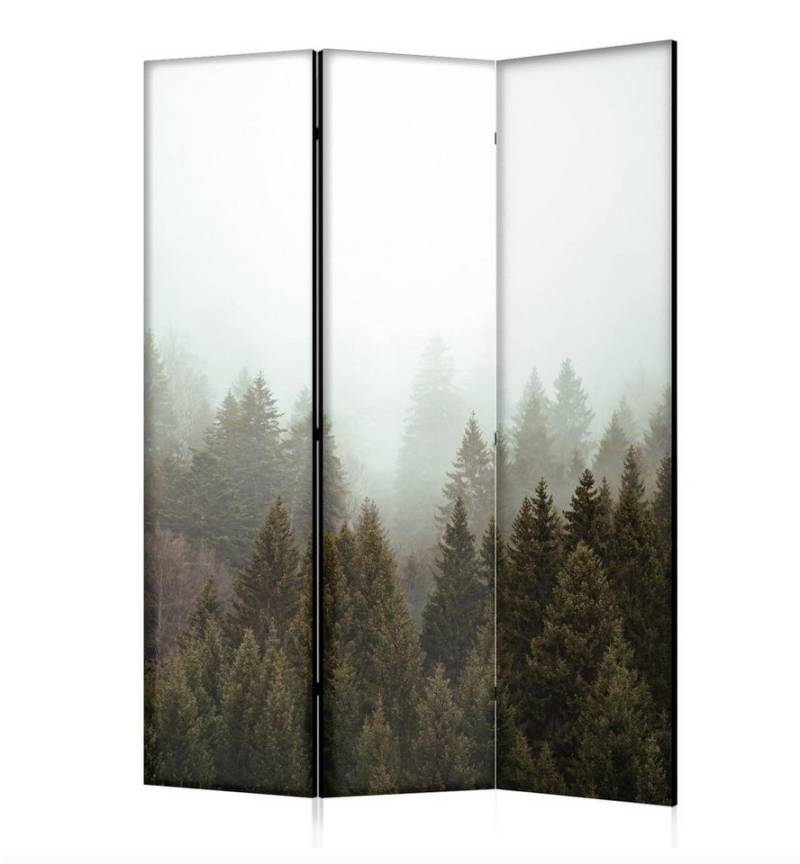framed concept Paravent Raumteiler aus Holz, doppelseitig, 3-teilig: 135 x 172 cm oder 5-teilig: 225 x 172 cm von framed concept