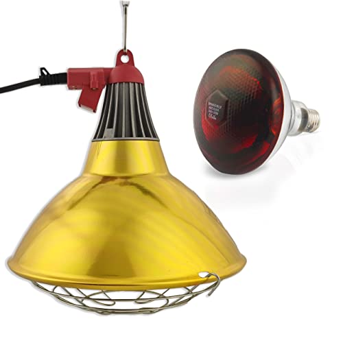 XXL Wärmestrahler 30 ⌀ Durchmesser mit Dimmer | 5 meter Kabel mit Infrarotlampe | Set 150 W Rotlichtlampe Wärmelampe E27 | Ferkellampe, Kückenlampe, Wärmelampe Tiere Hühner Infrarot Heizstrahler XXL Wärmestrahler 30 ⌀ Durchmesser mit Dimmer | 5 meter Kabel mit Infrarotlampe | Set 150 W Rotlichtlampe Wärmelampe E27 | Ferkellampe, Kückenlampe, Wärmelampe Tiere Hühner Infrarot Heizstrahler von fratrisPRO