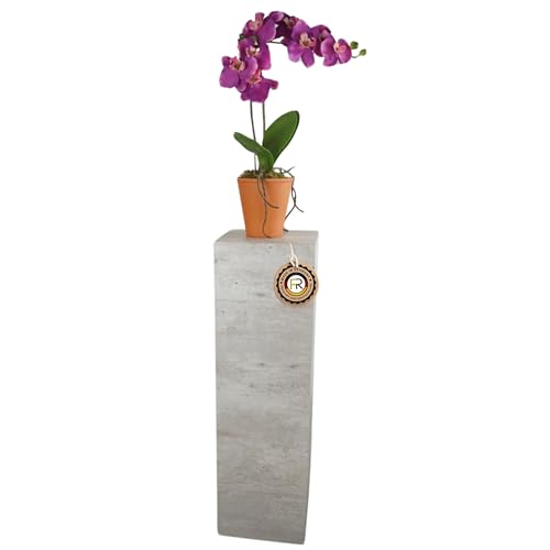 freeroom24 Designer Blumensäule in Beton Optik 20x20x70 cm - Wohnzimmer Säule modern - stabiles Blumen Podest - praktische Dekosäule rechteckig - Blumenständer groß - Blumenhocker - Made in Germany freeroom24 Designer Blumensäule in Beton Optik 20x20x70 cm - Wohnzimmer Säule modern - stabiles Blumen Podest - praktische Dekosäule rechteckig - Blumenständer groß - Blumenhocker - Made in Germany von freeroom24