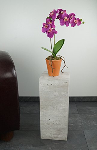 freeroom24 Designer Blumensäule in Beton Optik 20x20x50 cm - Wohnzimmer Säule modern - stabiles Blumen Podest - praktische Dekosäule rechteckig - Blumenständer groß - Blumenhocker - Made in Germany freeroom24 Designer Blumensäule in Beton Optik 20x20x50 cm - Wohnzimmer Säule modern - stabiles Blumen Podest - praktische Dekosäule rechteckig - Blumenständer groß - Blumenhocker - Made in Germany von freeroom24