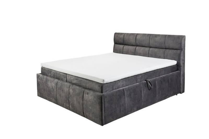 freiraum Boxbett AVIDANO 6, 180x200 cm Liegefläche, Bezug in grey - 203x123x213cm (BxHxT) von freiraum