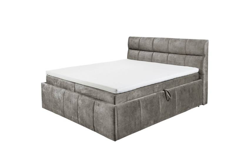 freiraum Boxbett AVIDANO 6, 180x200 cm Liegefläche, Bezug in stone - 203x123x213cm (BxHxT) von freiraum